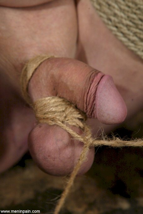 Men In Pain Kitten, mini