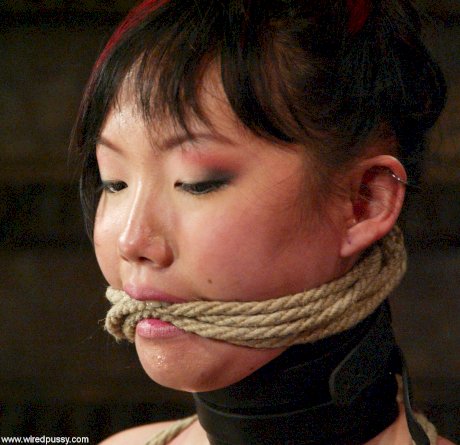 Wired Pussy Lystra, Princess Donna Dolore
