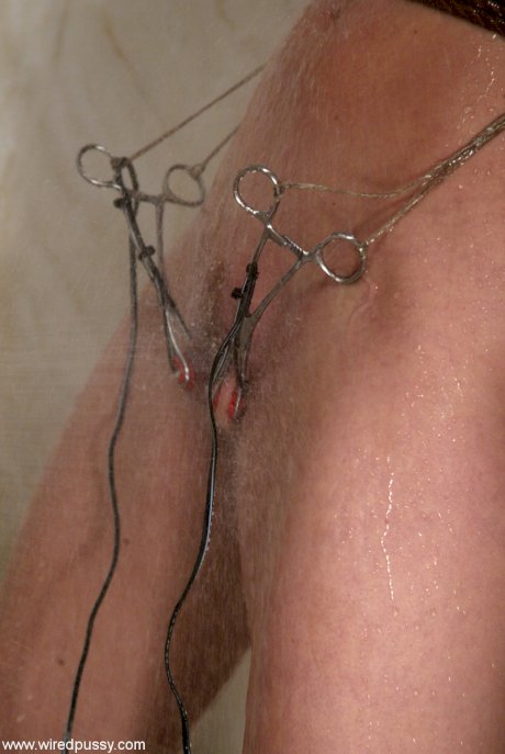 Wired Pussy Roxanne Hall