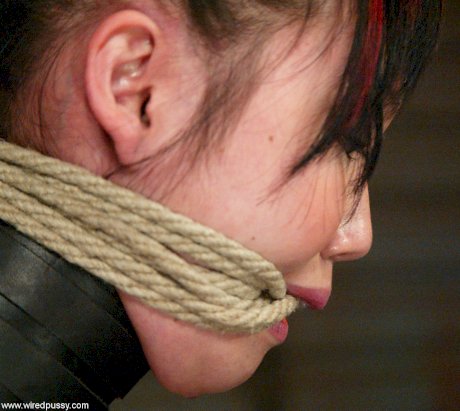Wired Pussy Lystra, Princess Donna Dolore
