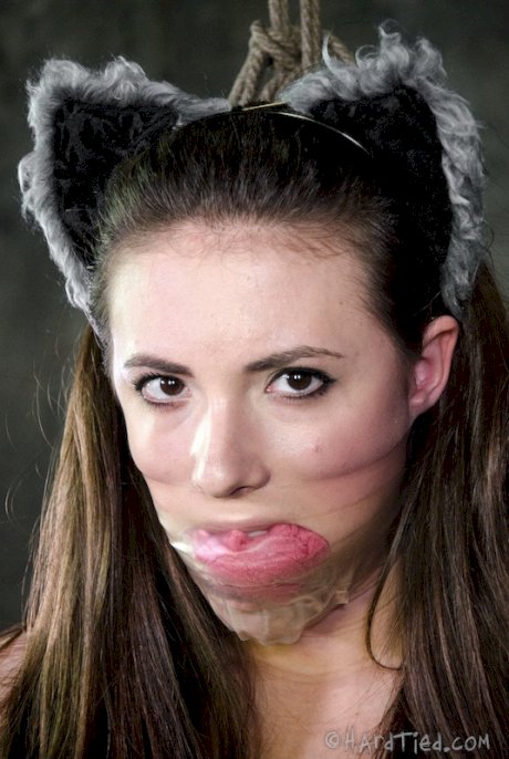Solo girl Casey Calvert dons cat ears and butt plug tail in dungeon setting