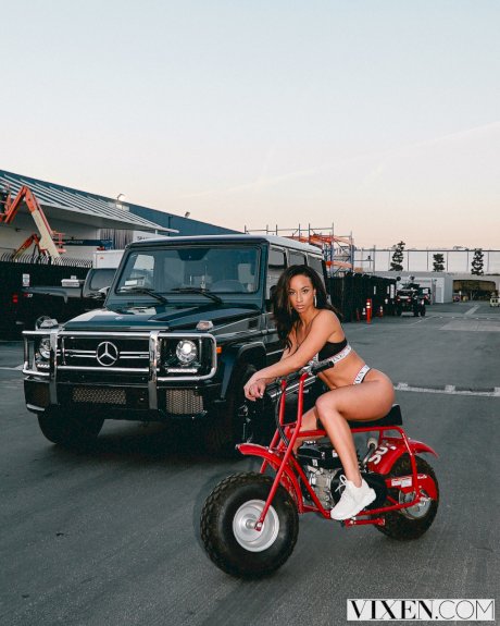 Vixen Mick Blue, Teanna Trump
