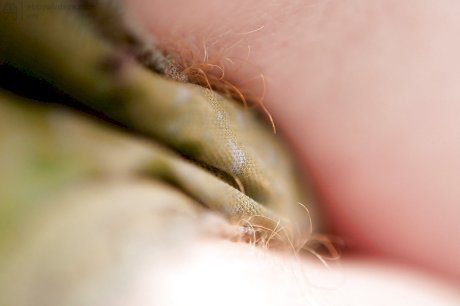 Redhead punk chick Isadora fondles all natural boobs and fingers hairy twat