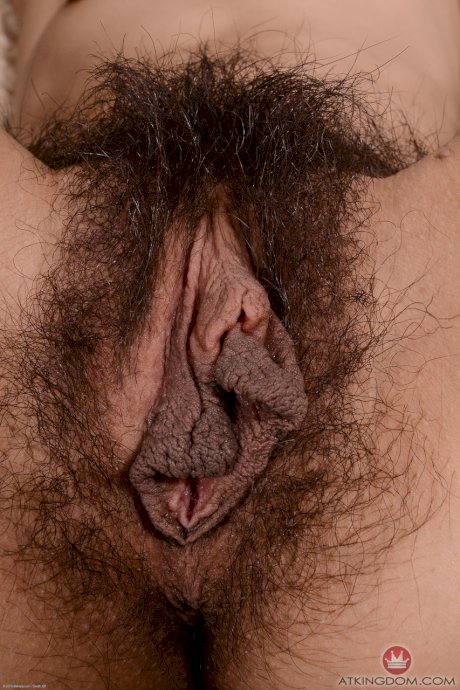 ATK Hairy Andy Moon